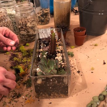 PlantHouse - Work in progress - Arts & Crafts Near Me - Virginia Beach, Virginia