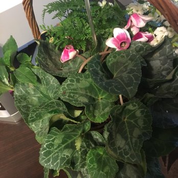 Stuart's Floral Station - Florists Near Me - Roxbury, Connecticut Stuart's Floral Station - Florists Near Me - Roxbury, Connecticut