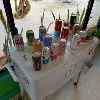 Les Cactus - Drinks - Hotels Near Me - Palm Springs, California