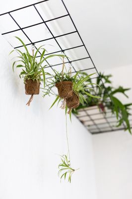 Manko Café und Workspace by null