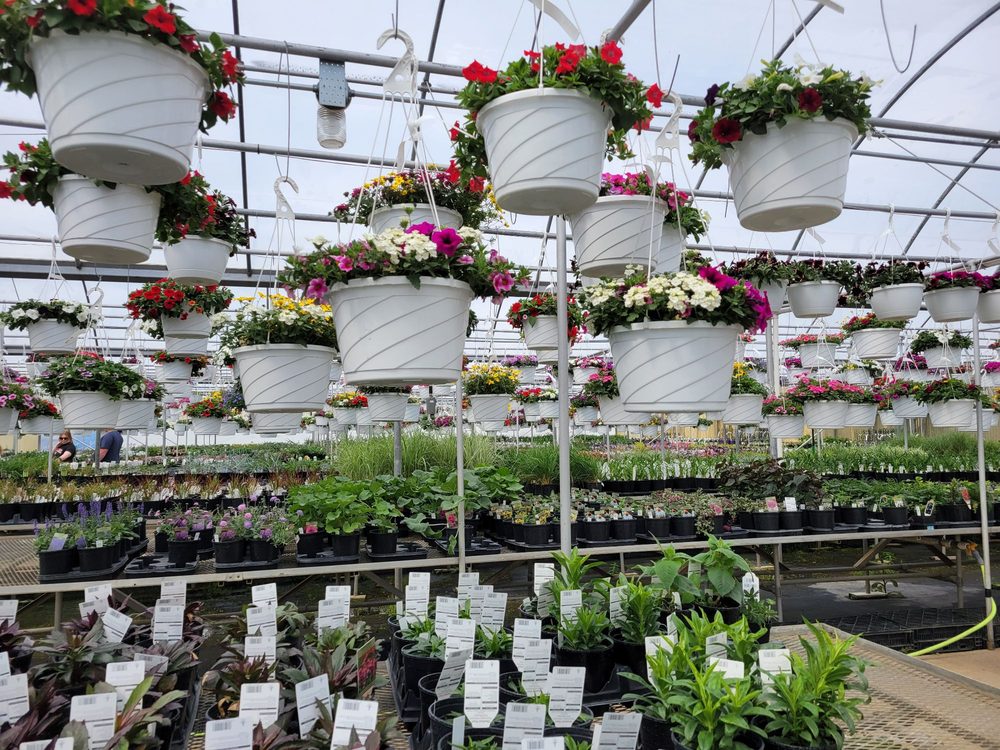 COX’S PLANT FARM Updated March 2025 87 Photos & 26 Reviews 6360 S County Road 0, Clayton