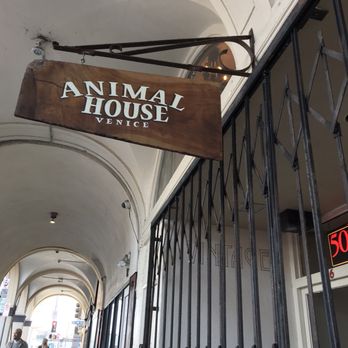 Animal House - Used, Vintage & Consignment Near Me - Los Angeles, California Animal House - Used, Vintage & Consignment Near Me - Los Angeles, California