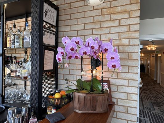 Cannery Pier Hotel & Spa by null