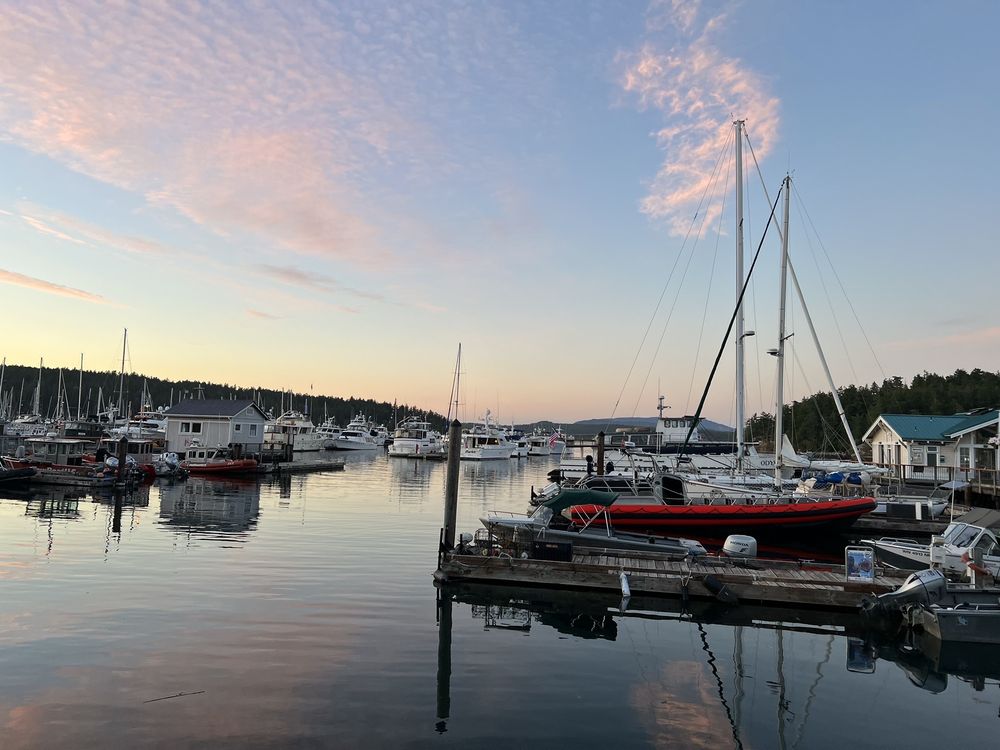 Cease & Desist - A Friday Harbor Beerhouse Image