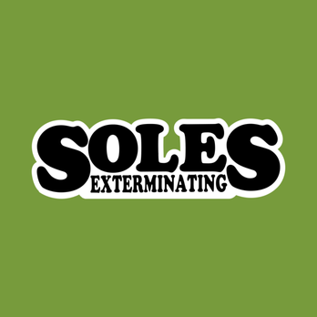 Soles Exterminating - Soles Exterminating - Pest Control Near Me - Largo, Florida Soles Exterminating - Soles Exterminating - Pest Control Near Me - Largo, Florida