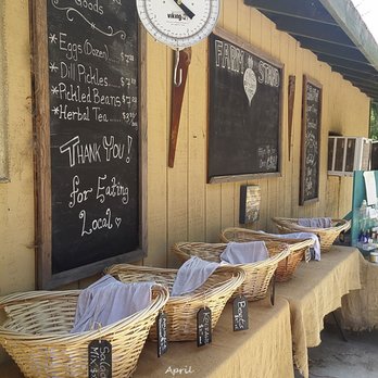 Dare 2 Dream Farms - FarmStand but no place to leave money so we left some in the refrigerator- baskets empty- cute but no one but BIG DOGS to greet us- - Do-It-Yourself Food Near Me - Lompoc, California