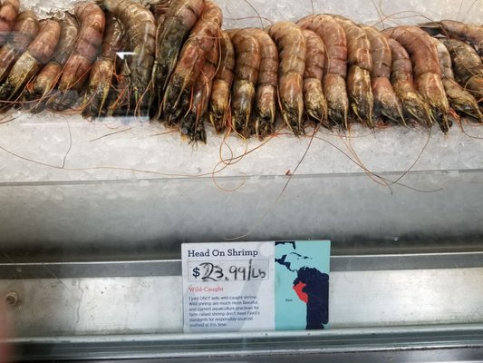 Fjord Fish Market by null