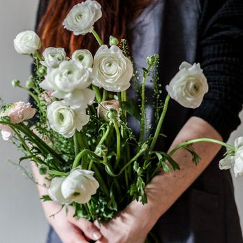 Alternative Cremation and Funeral Services - Cremation Services Near Me - Franklin, Tennessee