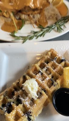 Hash House A Go Go by null