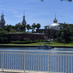 Tampa Dog Run