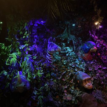 Rainforest Cafe - American Near Me - Ontario, California Rainforest Cafe - American Near Me - Ontario, California