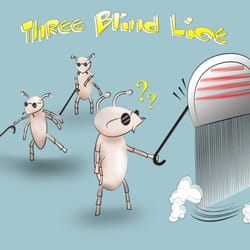 Three Blind Lice - Premium In-Home Lice Removal Service