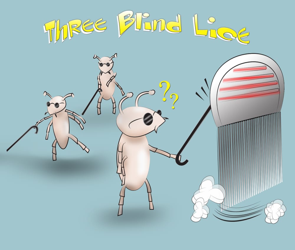 THREE BLIND LICE Lice Services Rochester, NY Phone Number Yelp