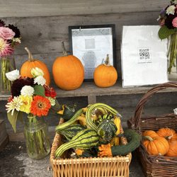 Simmons Family Farm - Mixed bouquets , pumpkins & gourds are all grown on the farm