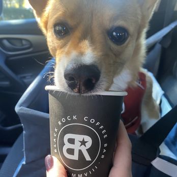 Black Rock Coffee Bar - Black Rock Brand Ambassador headshot - Coffee & Tea Near Me - Austin, Texas