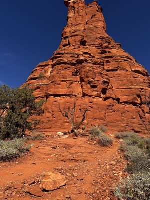 Boynton Canyon Trail by null