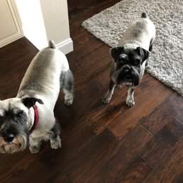 Cash and Clover