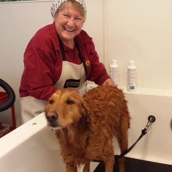 KIMBUR PET WASH SUITES Updated May 2025 18 Photos 108 Reviews 17031 W Bell Rd Surprise Arizona Pet Groomers Phone Number Yelp