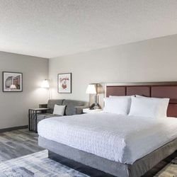 Hampton Inn Athens - Guest room