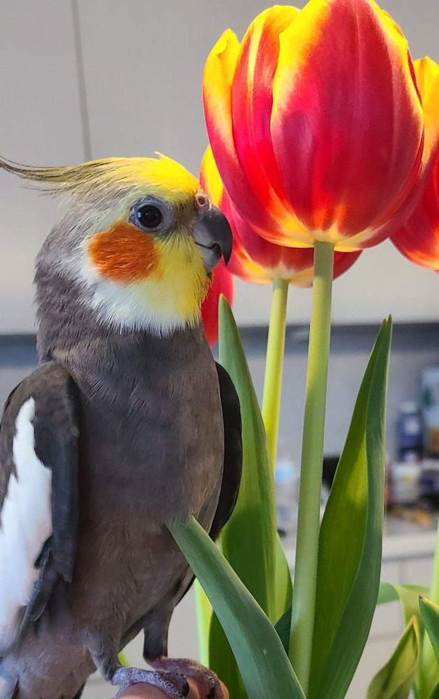 ANIMAL & BIRD HEALTH CARE CENTER & HOSPITAL 16 Photos & 45 Reviews