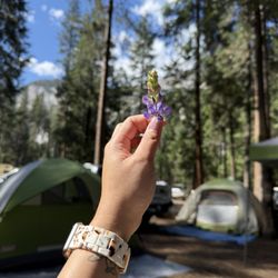 Upper Pines Campground at Yosemite National Park
