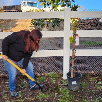 Moon Valley Nurseries - Nurseries & Gardening Near Me - Murrieta, California