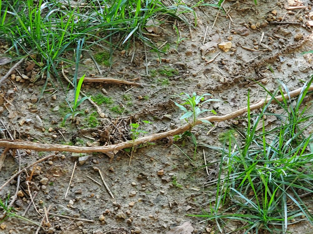 Slide of Pipe Wrench Plumbing, Heating & Cooling