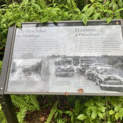 Gumbo Limbo Trail