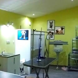 Chiots - Le salon de toilettage