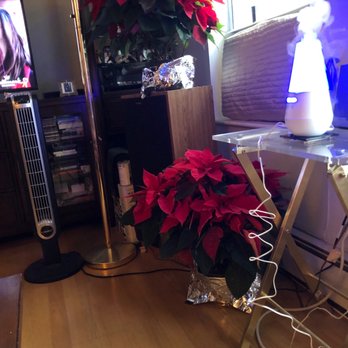 Riverdale Florist - Florists Near Me - Bronx, New York Riverdale Florist - Florists Near Me - Bronx, New York
