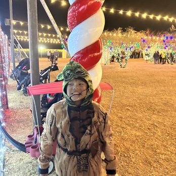 Desert Farm Lights - Bounce House Rentals Near Me - Waddell, Arizona Desert Farm Lights - Bounce House Rentals Near Me - Waddell, Arizona