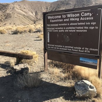 Wilson Canyon Updated March 2026 19 Photos Yerington Nevada