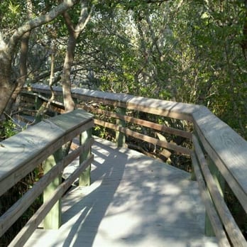 Desoto National Memorial - Raised walk through the mangroves. - Parks Near Me - Bradenton, Florida Desoto National Memorial - Raised walk through the mangroves. - Parks Near Me - Bradenton, Florida