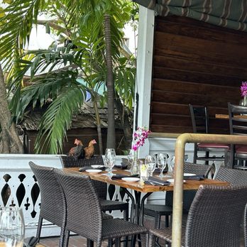 Bagatelle - Chicken friends - Seafood Near Me - Key West, Florida Bagatelle - Chicken friends - Seafood Near Me - Key West, Florida