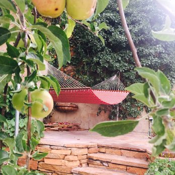 The Surgeon's House - Hammock through the apple tree? Yes, please! - Bed & Breakfast Near Me - Jerome, Arizona The Surgeon's House - Hammock through the apple tree? Yes, please! - Bed & Breakfast Near Me - Jerome, Arizona