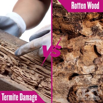 Killingsworth Environmental - Know the difference! If you suspect termites have entered your home, time is of the essence. Call or visit our website today! - Pest Control Near Me - Mooresville, North Carolina Killingsworth Environmental - Know the difference! If you suspect termites have entered your home, time is of the essence. Call or visit our website today! - Pest Control Near Me - Mooresville, North Carolina