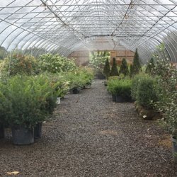 Underwood's Nursery
