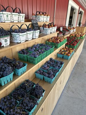 The Red Barn Farm Market and Bakery by null