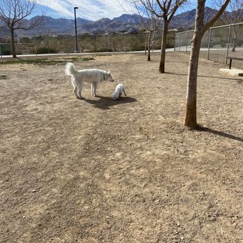 Knickerbocker Park - Dog Parks Near Me - Las Vegas, Nevada