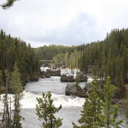 Tied To Nature - The view upstream of the Upper Falls of Yellowstone overlook. June 2022