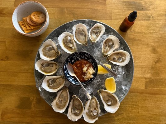 Bovino after dark by null Bovino after dark by null