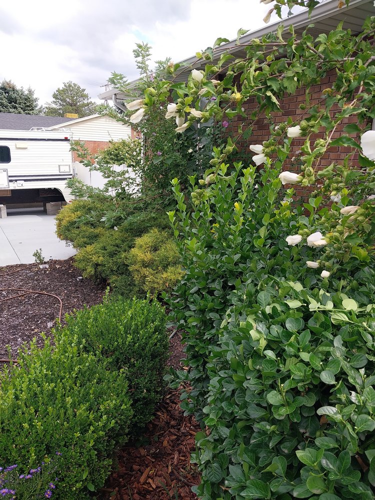 Keep It Maintained - tree service in Salt Lake City, UT