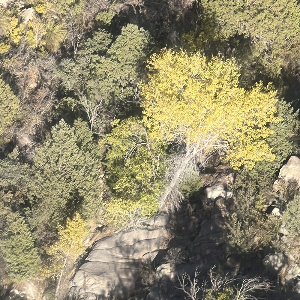 Sandia Peak Tramway - Fall colors below the tram - Ski Resorts Near Me - Albuquerque, New Mexico