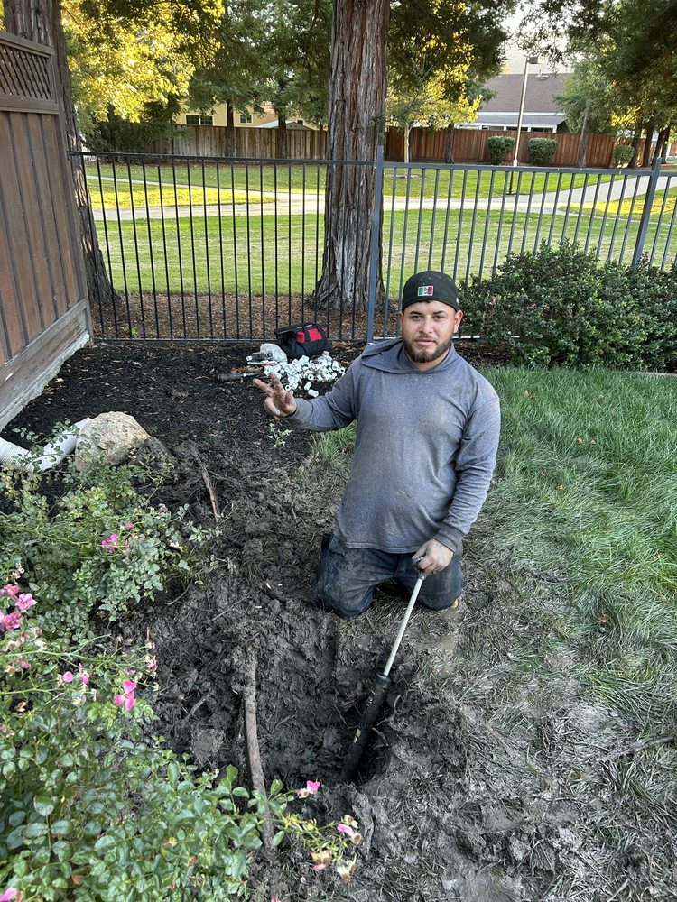 Zaqueros Gardening - tree service in San Jose, CA