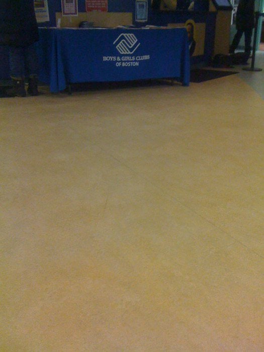 Boys & Girls Clubs of Boston - social services organization in Roxbury, MA