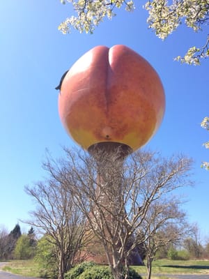 Peachoid by null