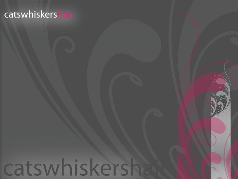 CATS WHISKERS HAIR SALON 214 Cowbridge Road East, Cardiff, United