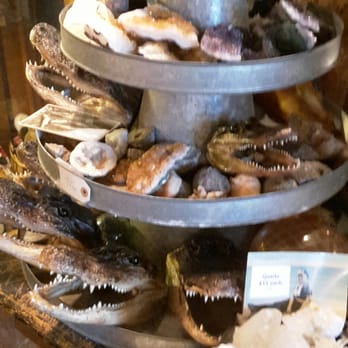 Curiosities - Loved the sparkly rocks and the gator heads ! - Antiques Near Me - Dallas, Texas Curiosities - Loved the sparkly rocks and the gator heads ! - Antiques Near Me - Dallas, Texas