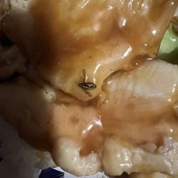Hunan New Jade Chinese Restaurant