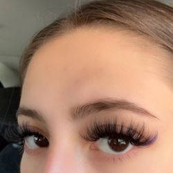 Brushed Beauty Parlor - Hybrid with purple at the ends